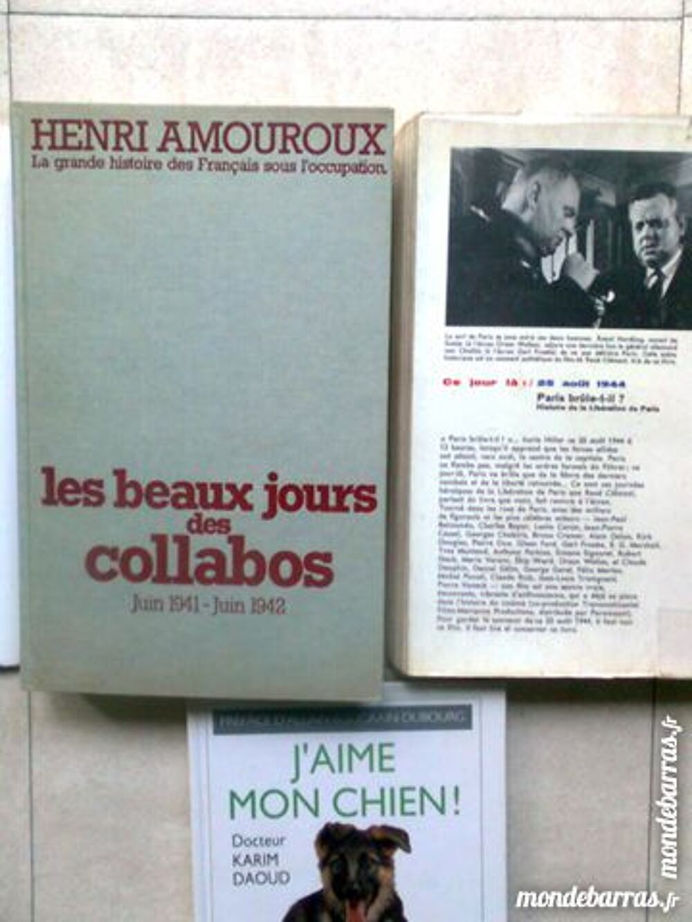 Paris brule-t-il - Bx j. des collabos -chien - zoe Livres et BD