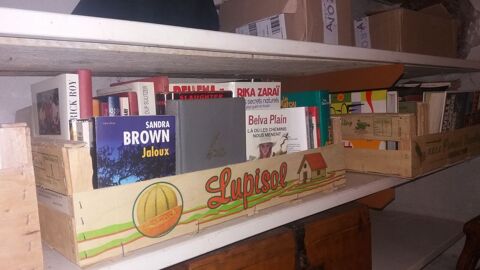 livres 12 Saint-Denis (89)