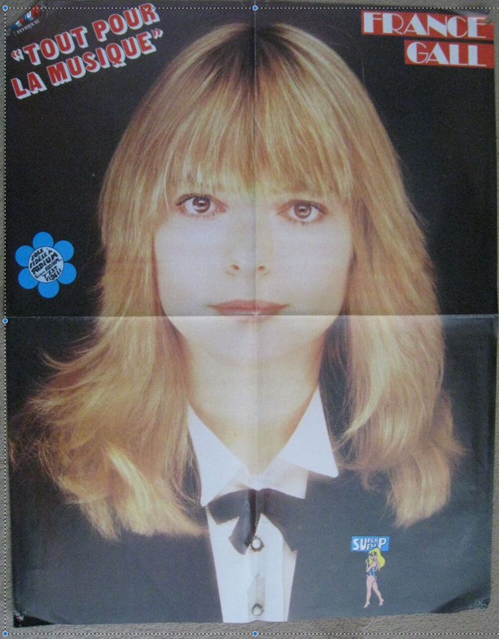 Poster Johnny Hallyday &amp; France Gall Livres et BD