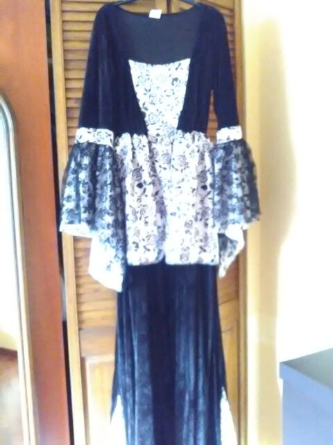 deguisement 20 La Gacilly (56)