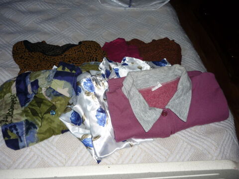 Tuniques,chemisier, pulls lgers 8 Bellenaves (03)