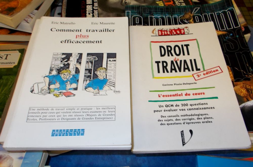 livre comment travailler plus efficacement (l'unit&eacute;) Livres et BD