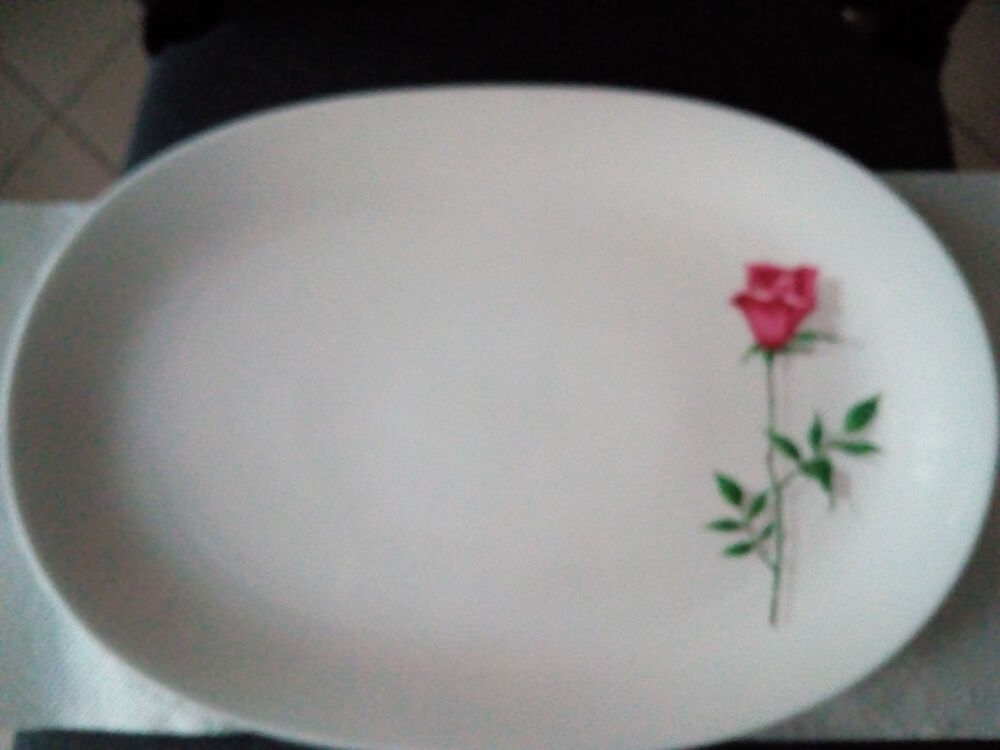 Plat ovale en porcelaine de Bavi&egrave;re Cuisine