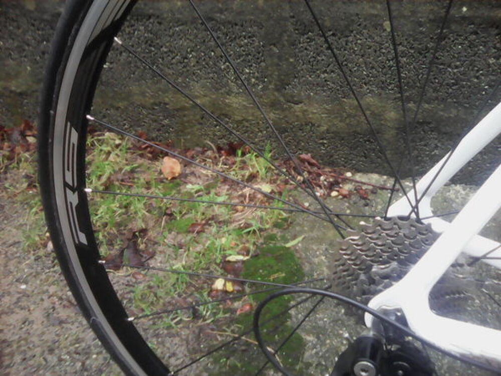 velo de route Vélos