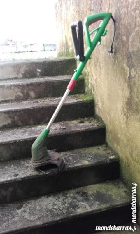 coupe bordure 10 Metz (57)