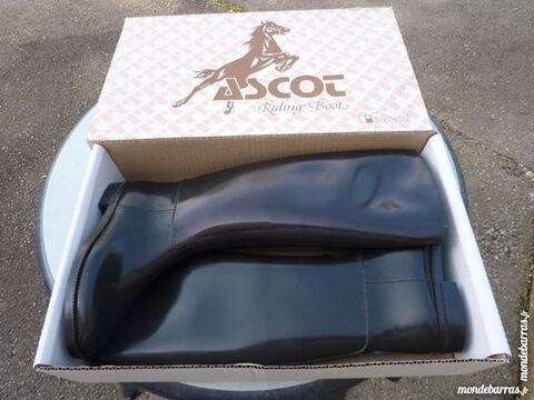 BOTTE DE CHEVAL ASCOT  NEUVE 15 Saint-Mathieu-de-Tr�viers (34)