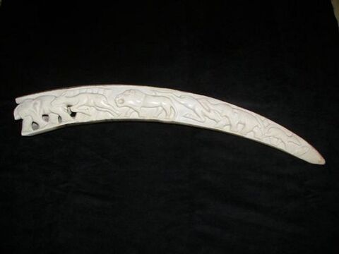 Dfense en ivoire 450 Cagnes-sur-Mer (06)