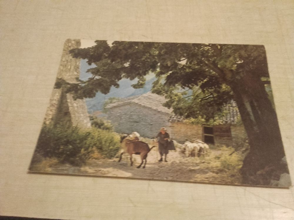 carte postale 