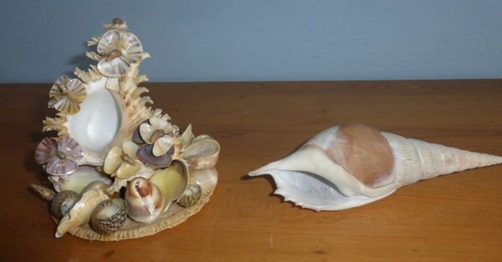 COQUILLAGE Décoration
