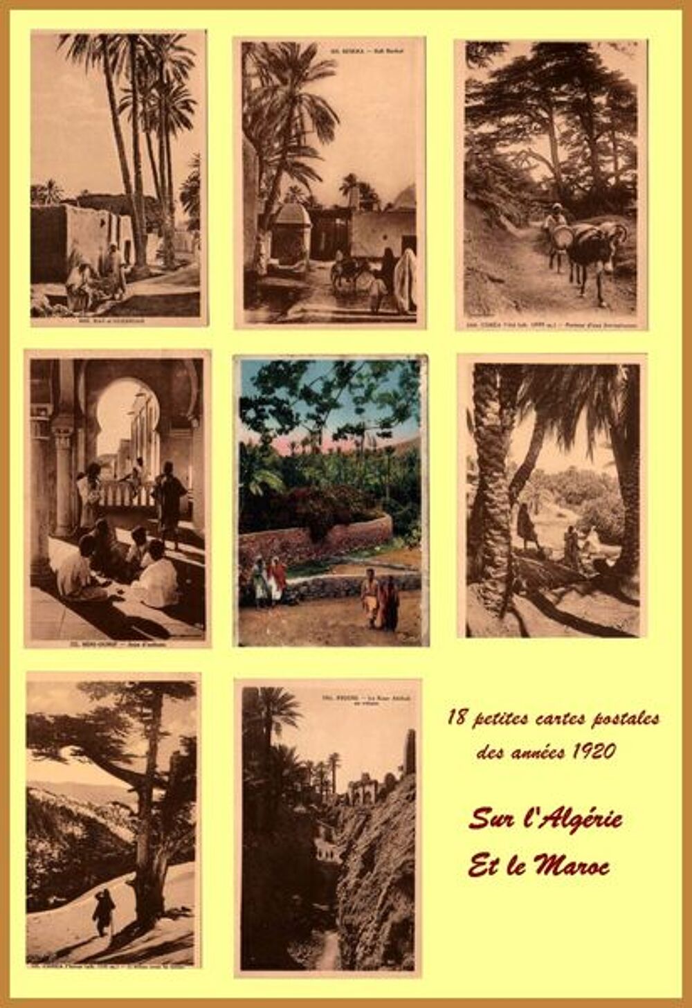 CARTES POSTALES - MAGHREB / prixportcompris 