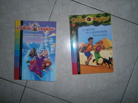 livres pour enfant 10 ans 2 Annonay (07)