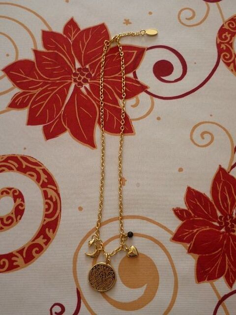 Collier twilight loup jake lautner quileute film 4 Semécourt (57)