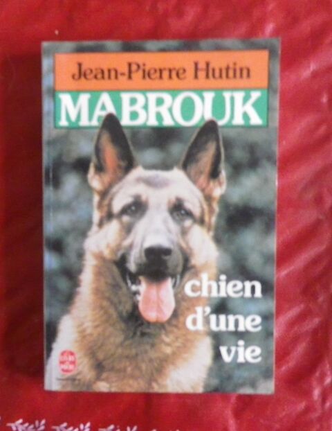 MABROUK CHIEN D'UNE VIE par Jean-Pierre HUTIN 2 Attainville (95)