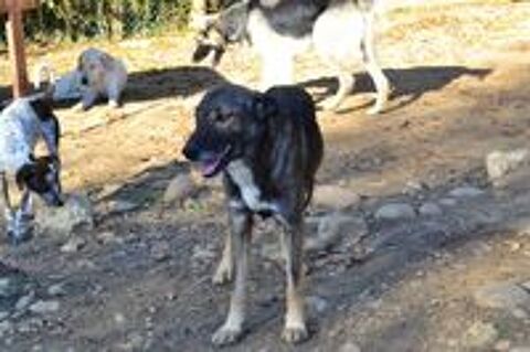   DIXY,un an et demi 
