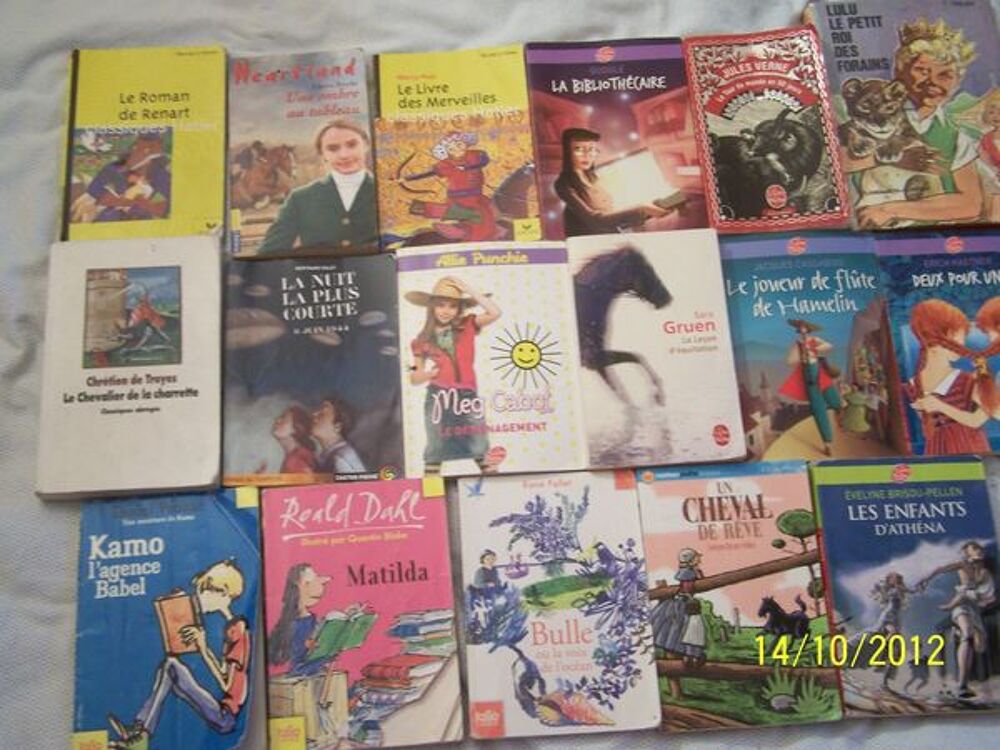 LOT DE DIVERS LIVRES JEUNESSE Livres et BD