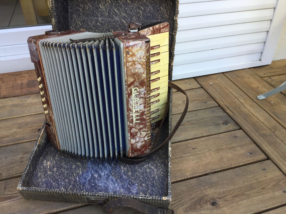 Accord&eacute;on Instruments de musique