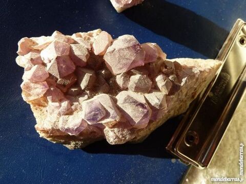 MINRAUX  collection FOSSILES 1 Claye-Souilly (77)