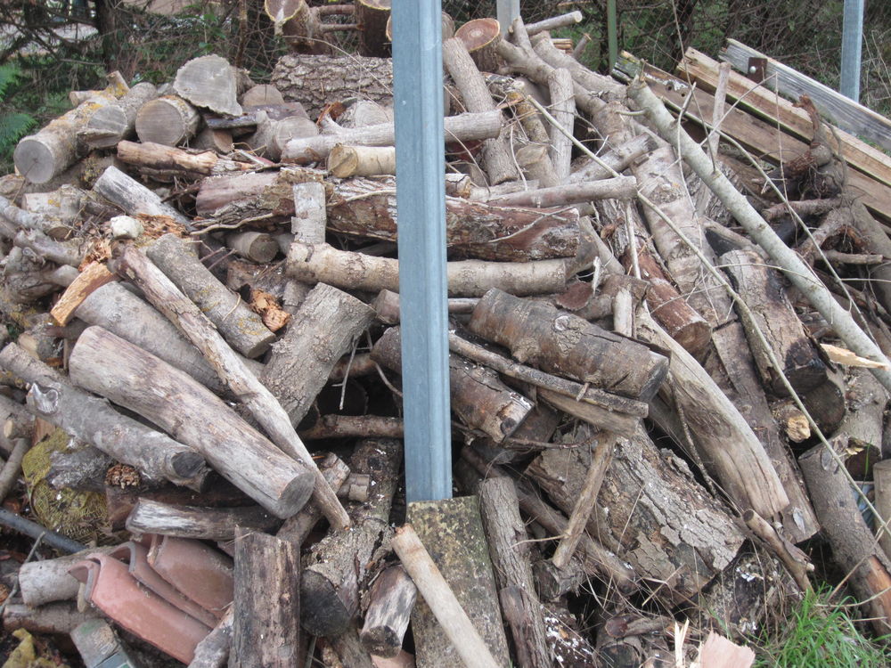 BOIS SEC FRENE Jardin