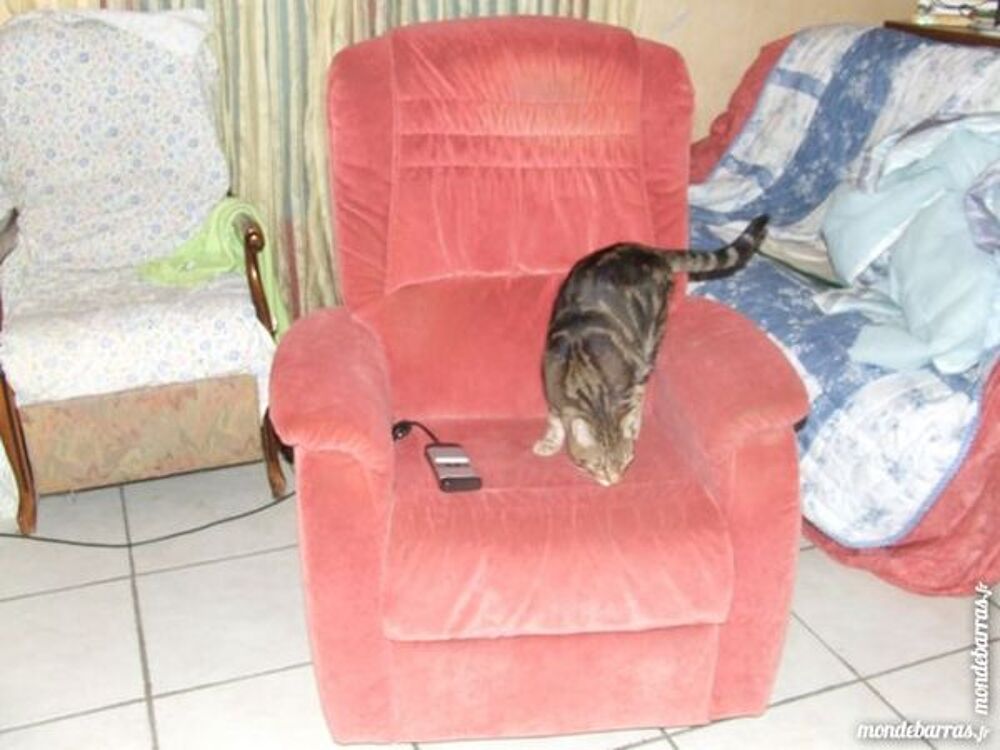 2 fauteuils Meubles