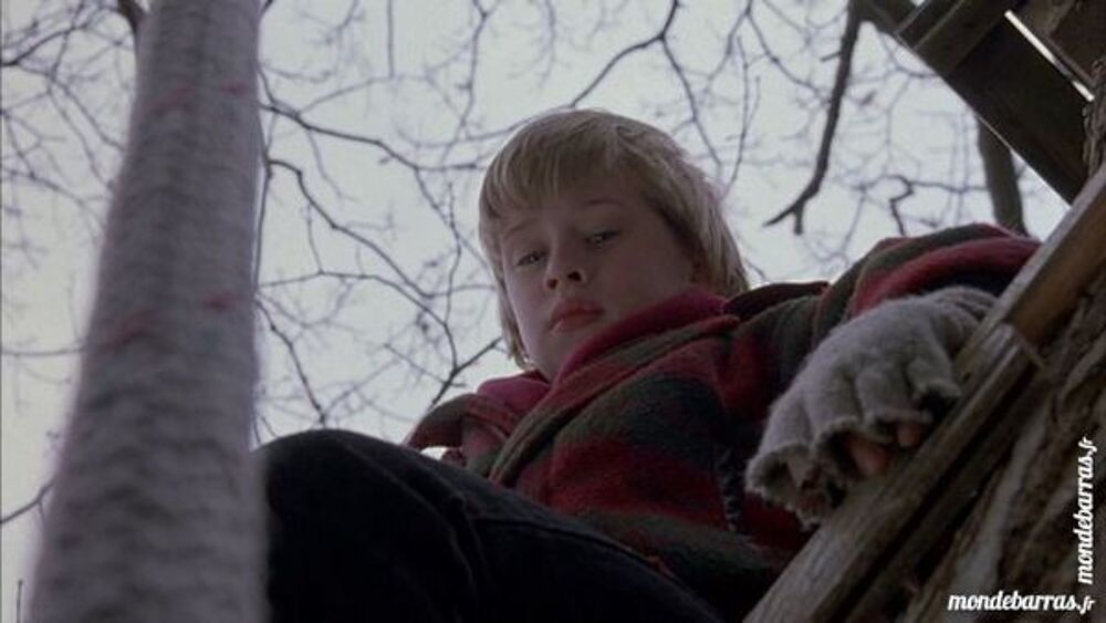 Dvd: Le Bon fils (224) DVD et blu-ray