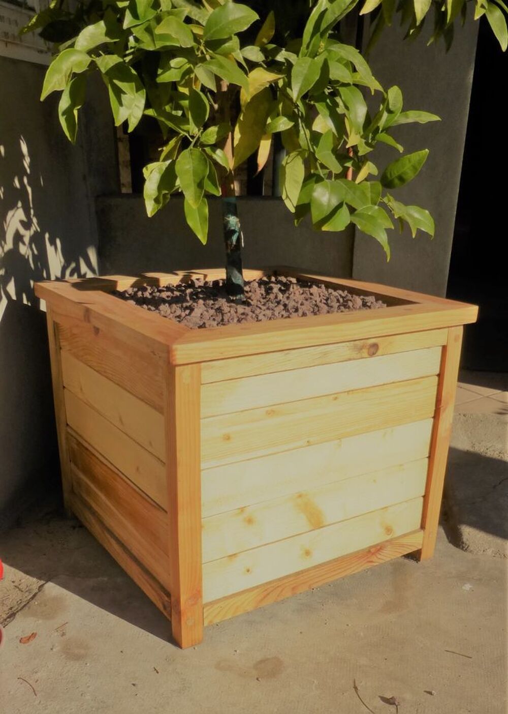 bac a citronier artisanal Jardin