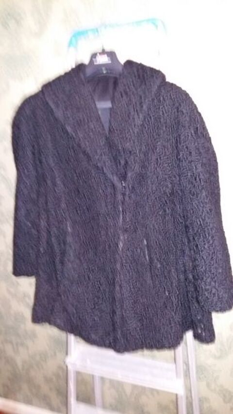 Fourrure veste en astrakan (vintage) 75 Strasbourg (67)