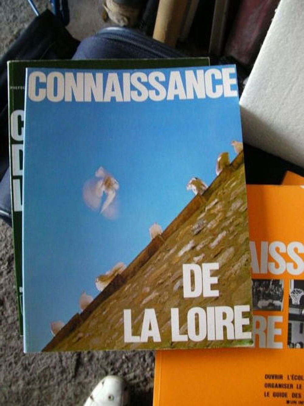 CONNAISSANCES DE LA LOIRE 