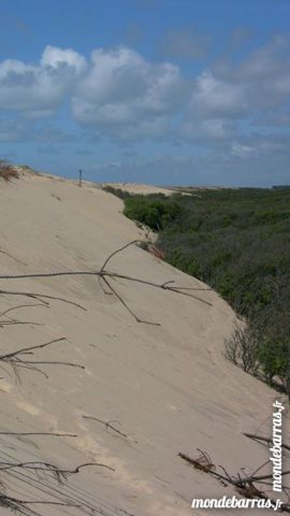   MOBIL HOME Palmyre  Bonne Anse Poitou-Charentes, Les Mathes (17570)