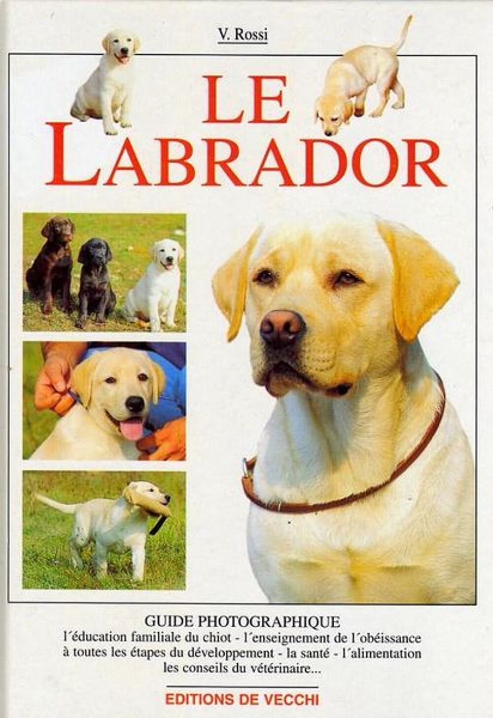 LABRADOR - golden labrador / prixportcompris Livres et BD