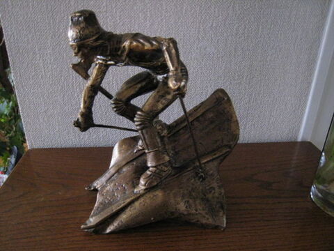 TROPHE SKI - piste - descente - slalom
20 Sassenage (38)