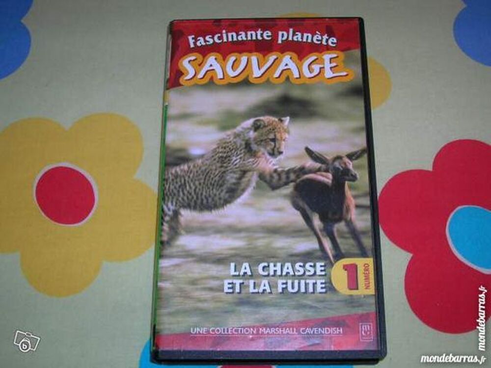K7 VHS FASCINANTE NATURE SAUVAGE - La chasse DVD et blu-ray