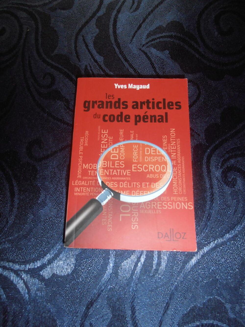 Les grands articles du code p&eacute;nal Livres et BD