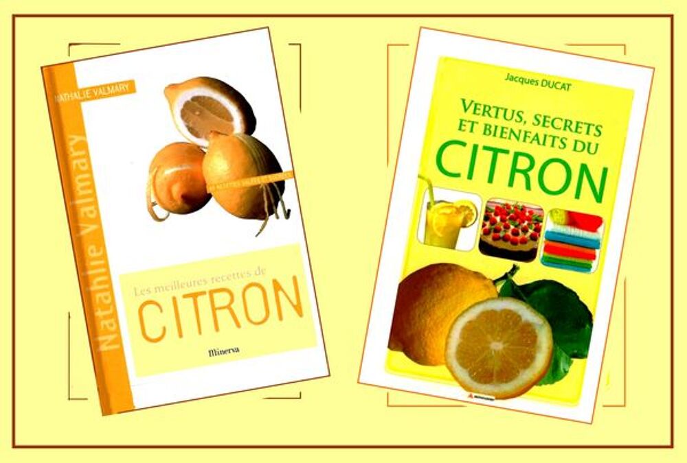 LE CITRON - cuisine et sant&eacute; / prixportcompris Livres et BD