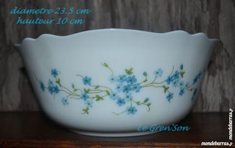 Saladier Arcopal Myosotis 10 Vir-en-Champagne (72)