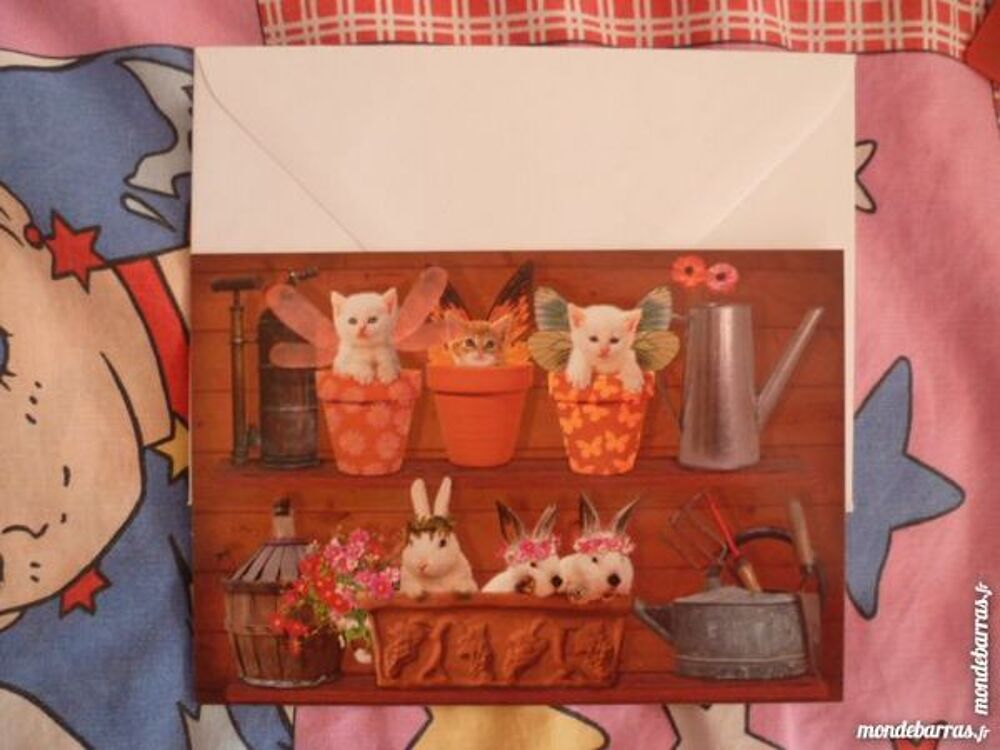 carte postale neuve lapin chat jardin mode &eacute;t&eacute; 