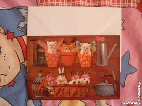 carte postale neuve lapin chat jardin mode été 1 Fèves (57)