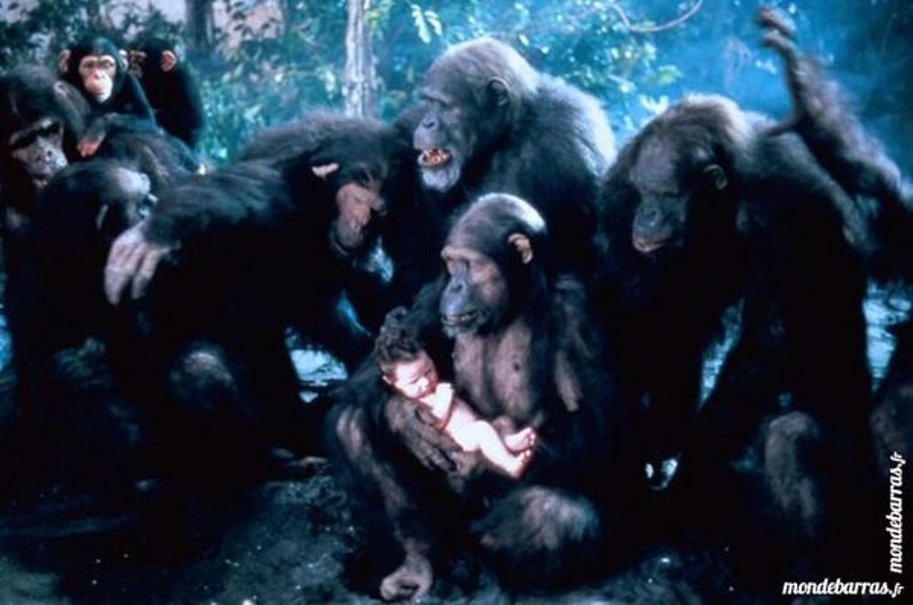 Dvd: Greystoke, la l&eacute;gende de Tarzan (426) DVD et blu-ray