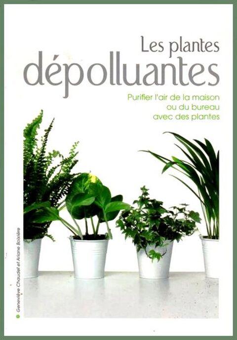 Les plantes d�polluantes / prixportcompris 12 Lille (59)