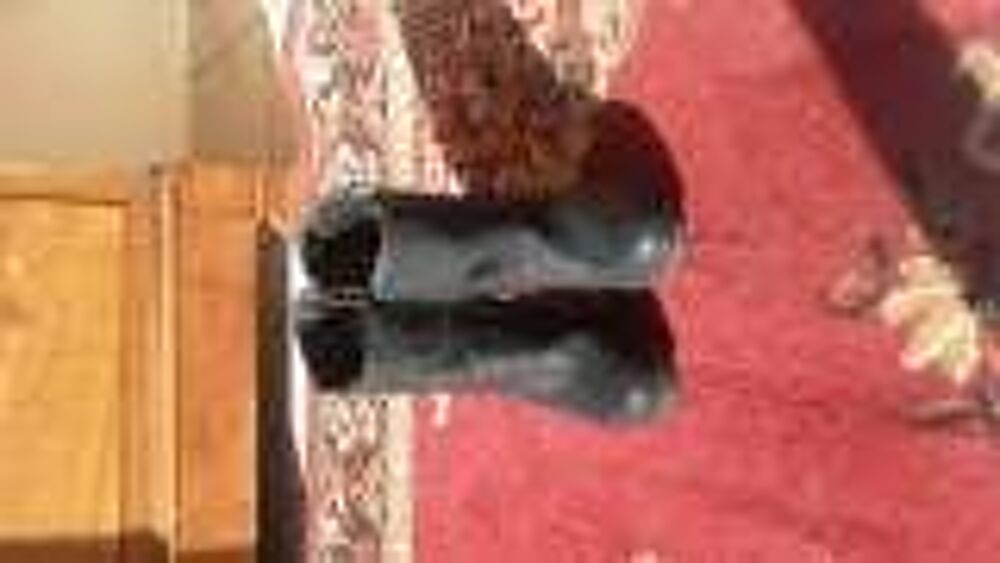 chaussure &agrave; talon Chaussures