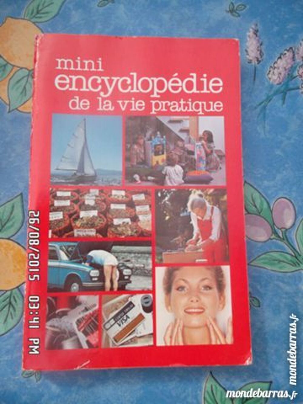 MINI ENCYCLOPEDIE DE LA VIE PRATIQUE Livres et BD