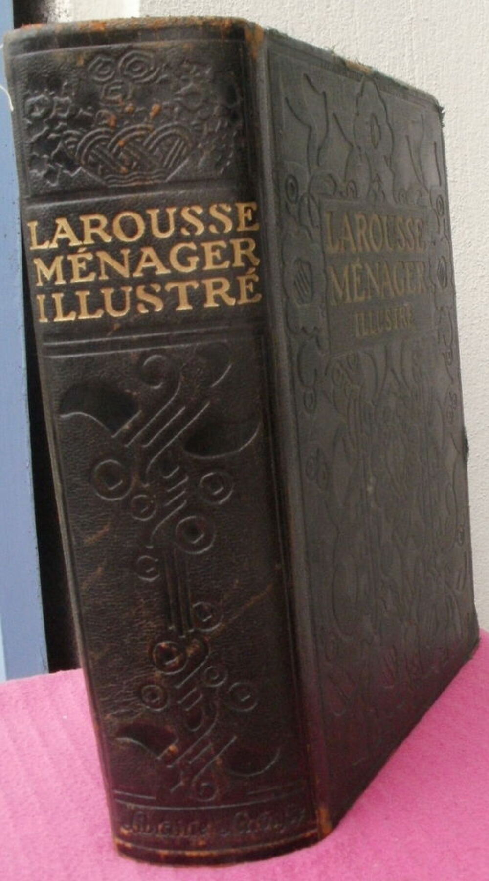 LAROUSSE MENAGER DICTIONNAIRE ILLUSTRE de la VIE DOMESTIQUE Livres et BD