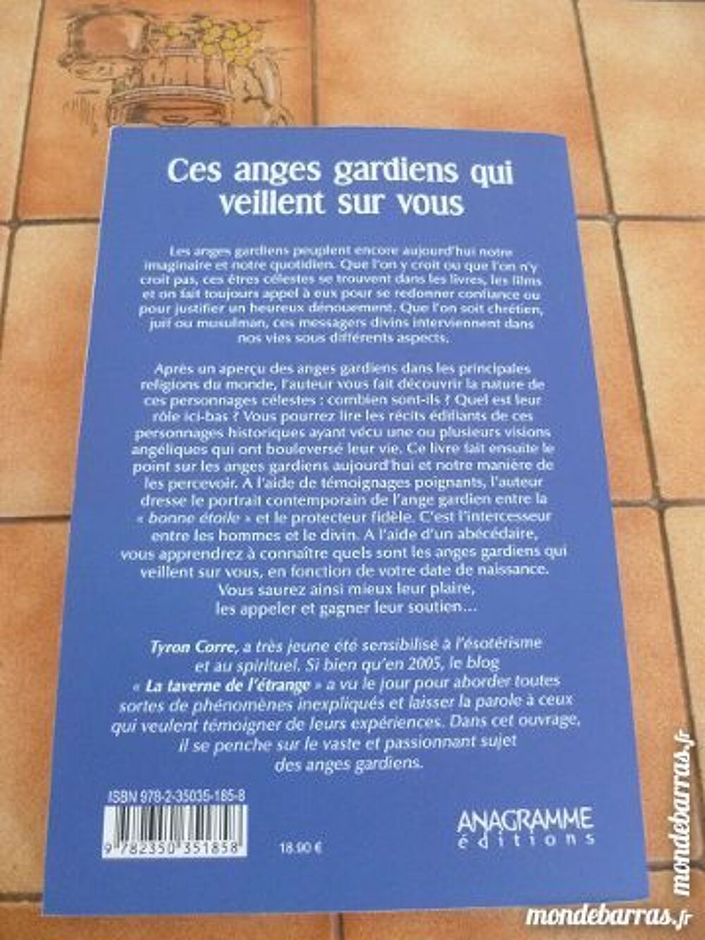 gardiens veillent sur vous esoterisme ange voyance Livres et BD