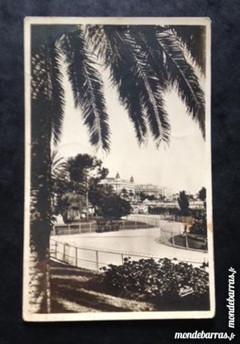 CPA Cannes les jardins de la Croisette 
