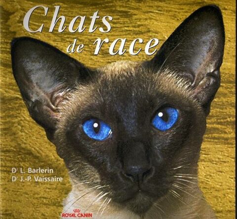 LES CHATS DE RACE / prixportcompris 7 Reims (51)