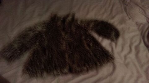 Lot de Vtements de Marque 0 Saint-Lonard (62)