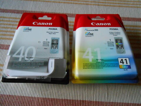 LOT 2 CARTOUCHES ENCRE NEUVES 40 ET 41 POUR IMPRIMANTE CANON Lindry (89)