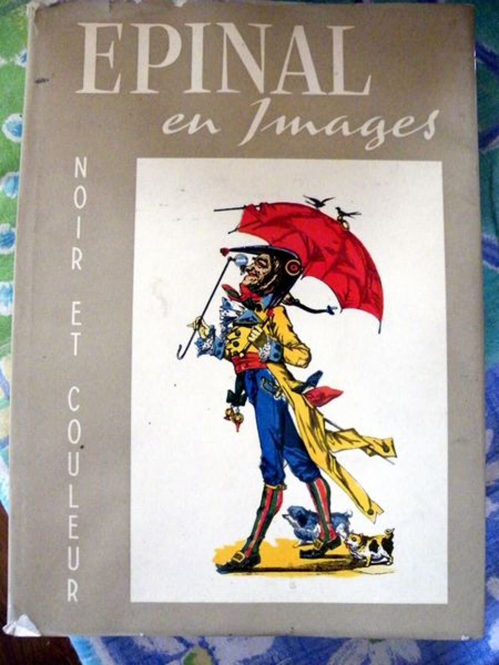 Epinal en image Livres et BD