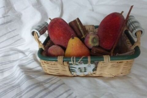décoration PETIT PANIER FRUITS EXOTIQUES 10 Doussard (74)