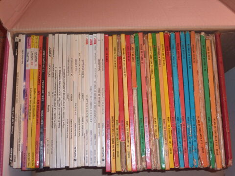 LOT + 100 LIVRES 100 Ferrires-en-Gtinais (45)