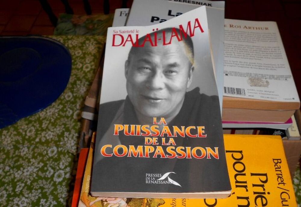 La puissance de la compassion sa saintet&eacute; le Dala&icirc;-Lama Livres et BD